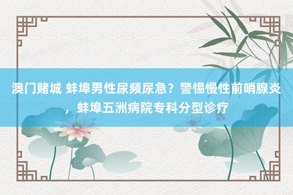 澳门赌城 蚌埠男性尿频尿急？警惕慢性前哨腺炎，蚌埠五洲病院专科分型诊疗