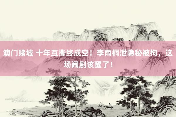 澳门赌城 十年互撕终成空！李雨桐泄隐秘被拘，这场闹剧该醒了！