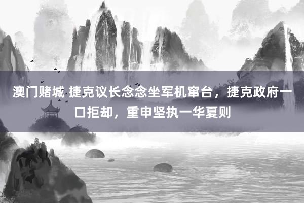 澳门赌城 捷克议长念念坐军机窜台，捷克政府一口拒却，重申坚执一华夏则