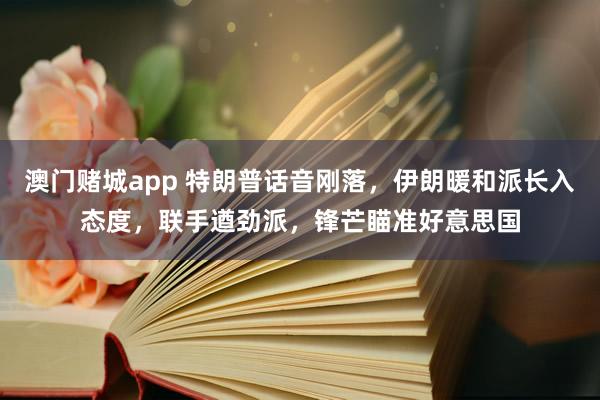 澳门赌城app 特朗普话音刚落，伊朗暖和派长入态度，联手遒劲派，锋芒瞄准好意思国