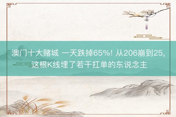 澳门十大赌城 一天跌掉65%! 从206崩到25, 这根K线埋了若干扛单的东说念主