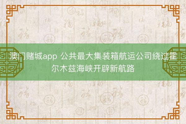 澳门赌城app 公共最大集装箱航运公司绕过霍尔木兹海峡开辟新航路